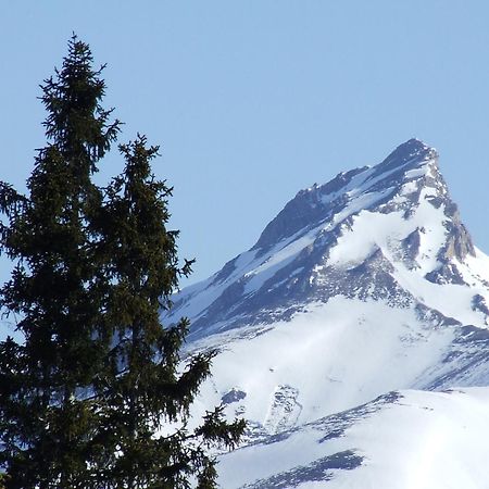 Ferienwohnung Bliem Sankt Michael im Lungau Exteriör bild
